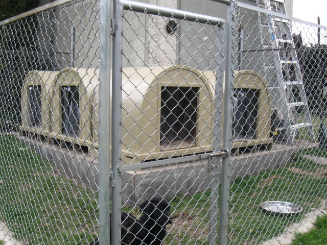 Construir Casa Para Perros Manual  Software