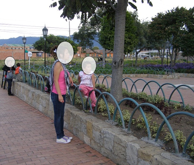 Cerramientos plasticos Cerca Herreria decoración