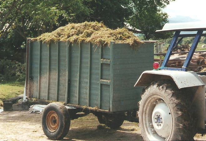 Contenedores Cajones cajas plegables Shelters refugios cajillas estibas