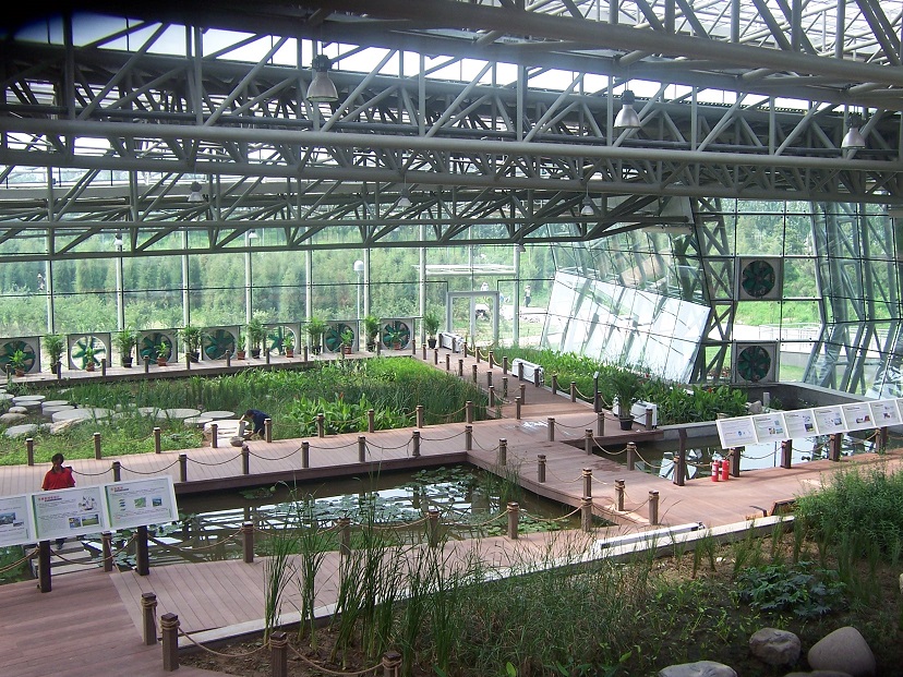 27 muelles marinos embarcaderos flotantes fijos astilleros maderas marinas