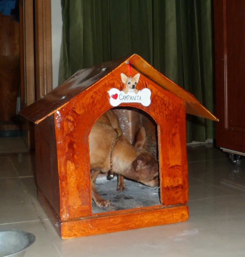 33 Casas Perros Mascotas Perreras Pritorias Corrales Establos Especies Menores 0 0