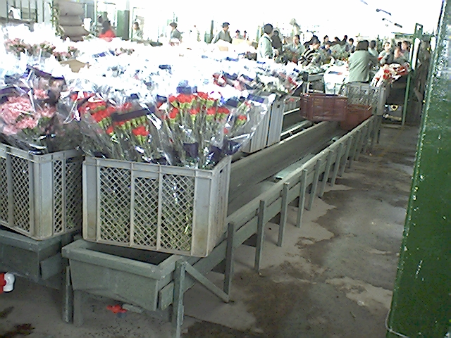 45 Contenedores Cajones cajas Shelters refugios cajillas estibas anti