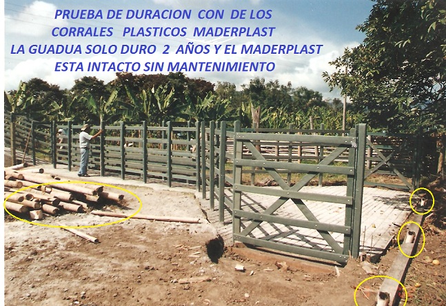 prueba del paso tiempo duración resistencia al largo tiempo larga vida útil duración fuerte longevidad ciclo de vida madera plástica maderplast no pudre nunca no biodegradable 00 6 prueba del paso tiempo duración resistencia al largo tiempo larga vida útil duración fuerte longevidad ciclo de vida madera plástica maderplast no pudre nunca no biodegradable 6 0,01