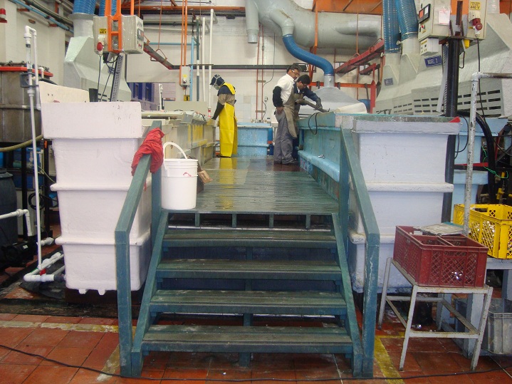 pruebas de resistencia química excelentes a los ácidos fuertes o bases solventes corrosivas alcalinas a prueba de cáusticos soluciones compuestos químicos galvanoplastia cromado 4 0,01 pruebas de resistencia química excelentes a los ácidos fuertes o bases solventes corrosivas alcalinas a prueba de cáusticos soluciones compuestos químicos galvanoplastia cromado 4 213546879 pruebas de resistencia química excelentes a los ácidos fuertes o bases solventes corrosivas alcalinas a prueba de cáusticos soluciones compuestos químicos galvanoplastia cromado 4546879213