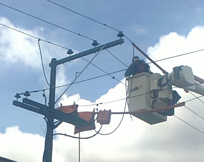 pruebas elevada resistencia eléctrica plásticos como aislamiento eléctricos de conducciones en redes eléctricas plásticos conducen muy mal la corriente aislantes eléctricos neut 0,05 pruebas elevada resistencia eléctrica plásticos como aislamiento eléctricos de conducciones en redes eléctricas plásticos conducen muy mal la corriente aislantes eléctricos neut 5 546879213 pruebas elevada resistencia eléctrica plásticos como aislamiento eléctricos de conducciones en redes eléctricas plásticos conducen muy mal la corriente aislantes eléctricos neut 58795462130