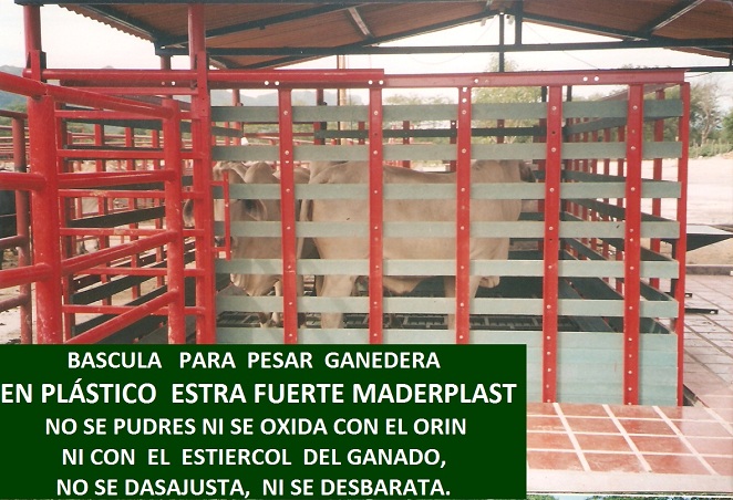 soluciones industriales de basculas ganaderas 16 electrónicas sistemas pesar ganado Balanzas ganadería bascula industriales equipamiento peso con jaula mecánicas electrónicas