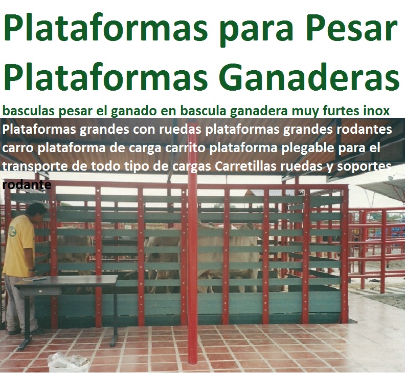 Plataformas grandes con ruedas plataformas grandes rodantes 0 carro plataforma de carga carrito plataforma plegable para el transporte de todo tipo de cargas Carretillas ruedas y soportes rodante maderplast Plataformas grandes con ruedas plataformas grandes rodantes 0 carro plataforma de carga carrito plataforma plegable para el transporte de todo tipo de cargas Carretillas ruedas y soportes rodante maderplast 0 Plataformas grandes con ruedas plataformas grandes rodantes 0 carro plataforma de carga carrito plataforma plegable para el transporte de todo tipo de cargas Carretillas ruedas y soportes rodante maderplast