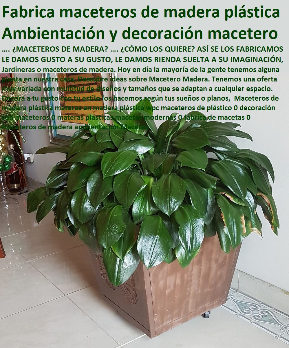 centros recreativos nuevos materiales