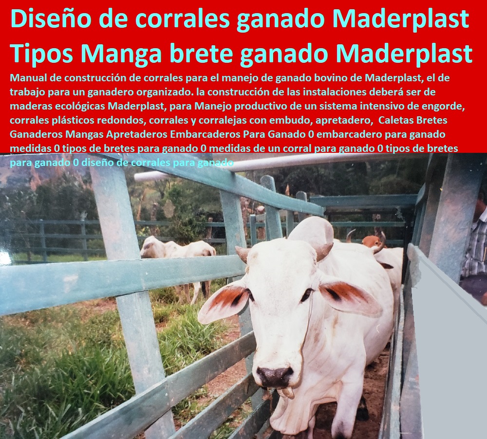 Corrales Con Madera Plastica Maderplast Disenamos Corrales Con