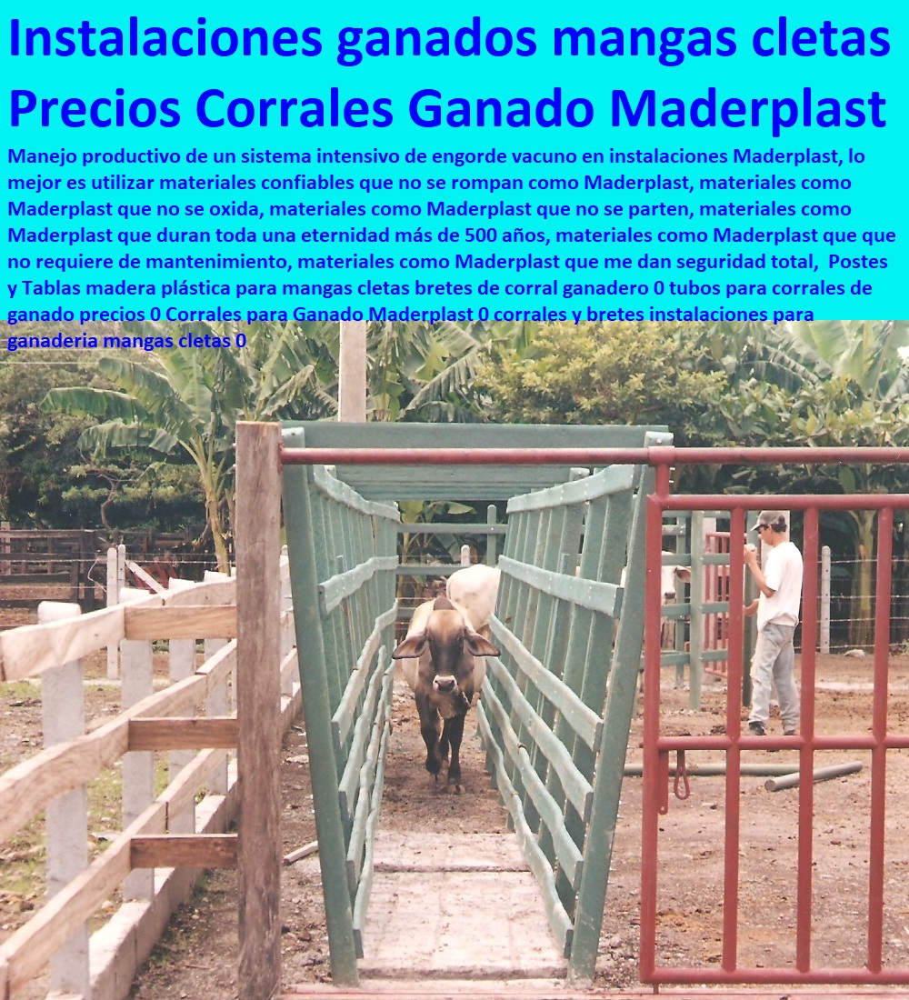 Corrales Con Madera Plastica Maderplast Disenamos Corrales Con