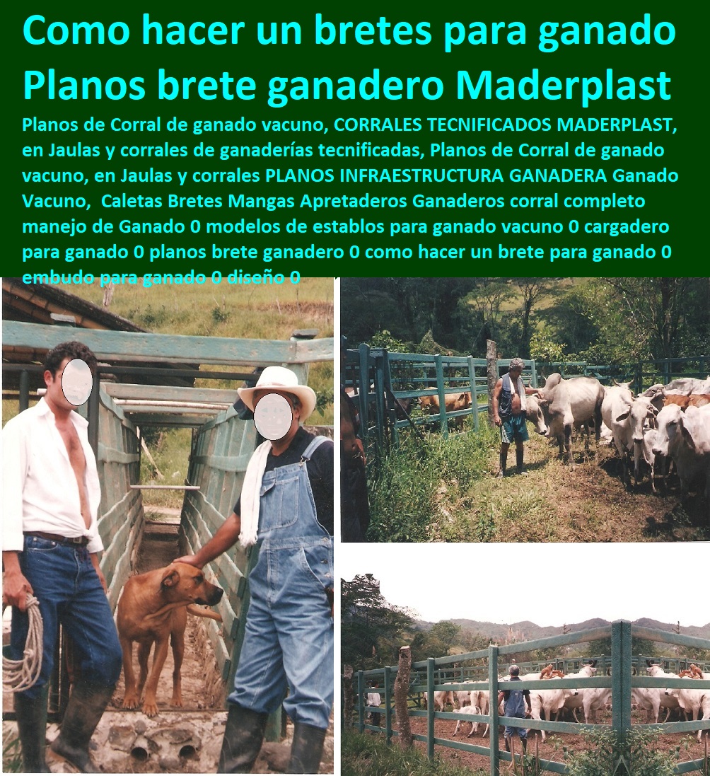 caballos plaza toros brete ganadero