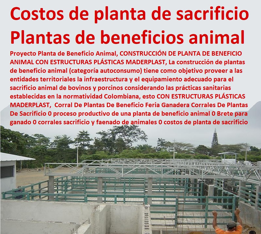 2 planos de establos para caballos