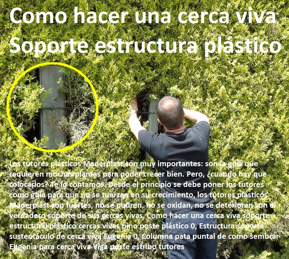 Cercas vivas para urbanismo con soportes plásticos maderplast 0 bases paredes soportes estructurales de maderplast, 0 plantas utilizadas en cercos vivos de ciudades patagónicas 0 espacio para el urbanismo de la cultura equipamiento urbano, mobiliario urbano, arquitectura urbanismo, muebles para espacios públicos, dotaciones urbanas, cartilla de mobiliario con normas y especificaciones técnicas, mobiliario dotación y suministro de equipamiento urbano, Cercas vivas para urbanismo con soportes plásticos maderplast 0 bases paredes soportes estructurales de maderplast, 0 plantas utilizadas en cercos vivos Mobiliario urbano de vanguardia, suministro de infraestructura y equipamiento urbano, municipal, dotación espacios públicos, según normas y términos de referencia, cartilla de mobiliario, nuevo urbanismo moderno mobiliario, de ciudades patagónicas 0 espacio para el urbanismo de la cultura Cercas vivas para urbanismo con soportes plásticos maderplast 0 bases paredes soportes estructurales de maderplast, 0 plantas utilizadas en cercos vivos de ciudades patagónicas 0 espacio para el urbanismo de la cultura