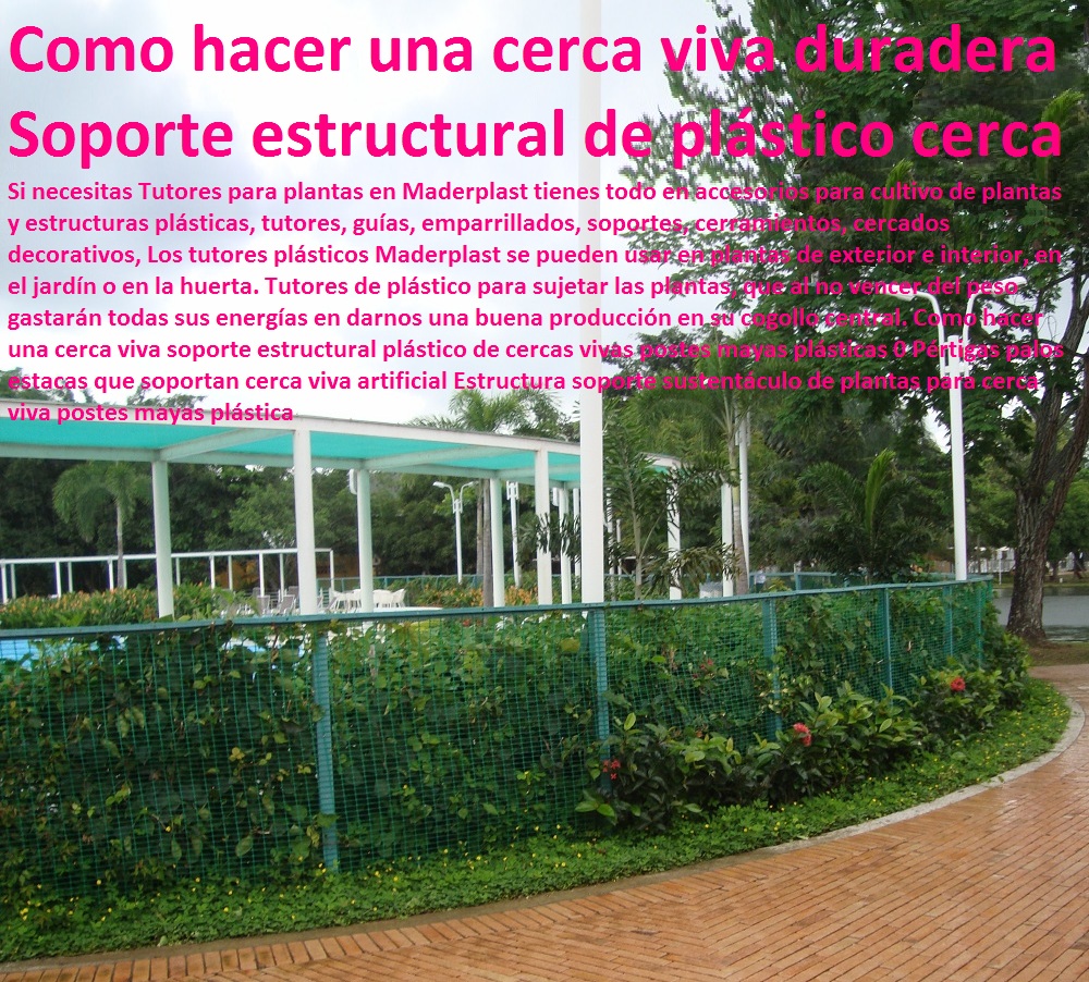 Cercas vivas para urbanismo con soportes plásticos maderplast, 0 cercas vivas en ciudades y avenidas como ornato 0 escuela de arquitectura urbanismo y diseño espacios verdes 0 cercas vivas para jardín paredes verdes pp equipamiento urbano, mobiliario urbano, arquitectura urbanismo, muebles para espacios públicos, dotaciones urbanas, cartilla de mobiliario con normas y especificaciones técnicas, mobiliario dotación y suministro de equipamiento urbano, Cercas vivas para urbanismo con soportes plásticos maderplast, suministro de infraestructura y equipamiento urbano, dotación espacios públicos, cartilla de mobiliario catalogo, brochure nuevo urbanismo moderno mobiliario, Mobiliario urbano de arquitectura, 0 cercas vivas en ciudades y avenidas como ornato 0 escuela de arquitectura urbanismo y diseño espacios verdes 0 cercas vivas para jardín paredes verdes pp Cercas vivas para urbanismo con soportes plásticos maderplast, 0 cercas vivas en ciudades y avenidas como ornato 0 escuela de arquitectura urbanismo y diseño espacios verdes 0 cercas vivas para jardín paredes verdes pp