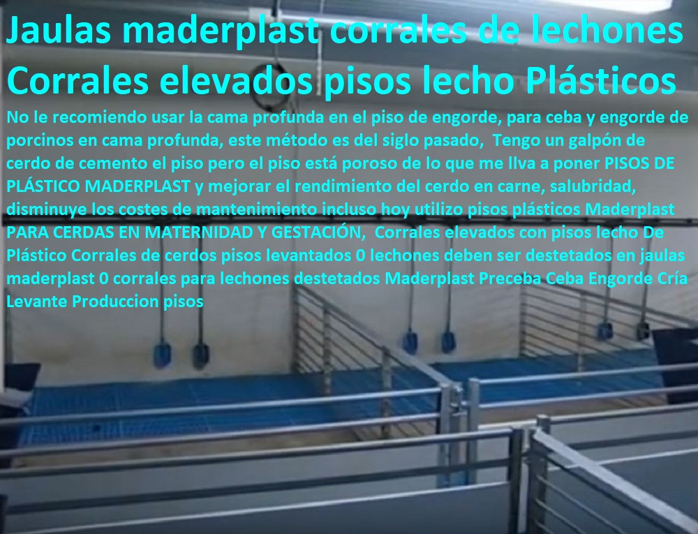 maderplast