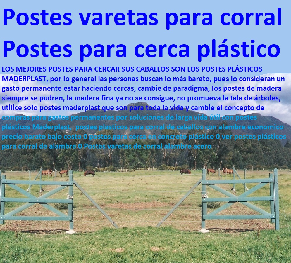 postes plasticos para corral de caballos con alambre economico precio barato bajo costo 0 postes para cerca en concreto plástico 0 ver postes plásticos para corral de alambre 0 Postes varetas de corral alambre acero postes plasticos para corral de caballos con alambre economico precio barato bajo costo 0 postes para cerca en concreto plástico 0 ver postes plásticos para corral de alambre 0 Postes varetas de corral alambre acero postes plasticos para corral de caballos con alambre economico precio barato bajo costo 0 postes para cerca en concreto plástico 0 ver postes plásticos para corral de alambre 0 Postes varetas de corral alambre acero
