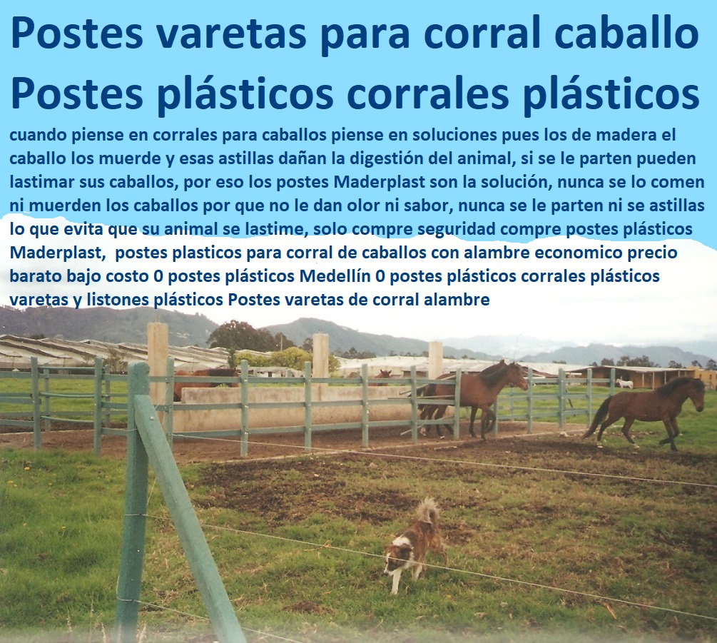 postes plasticos para corral de caballos con alambre economico precio barato bajo costo 0 postes plásticos Medellín 0 postes plásticos corrales plásticos varetas y listones plasticos Postes varetas de corral alambre postes plasticos para corral de caballos con alambre economico precio barato bajo costo 0 postes plásticos Medellín 0 postes plásticos corrales plásticos varetas y listones plásticos Postes varetas de corral alambre postes plásticos para corral de caballos con alambre economico precio barato bajo costo 0 postes plásticos Medellín 0 postes plásticos corrales plásticos varetas y listones plásticos Postes varetas de corral alambre
