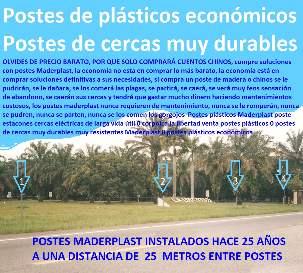 Postes plásticos Maderplast poste estacones cercas eléctricas de larga vida útil 0 corpoica la libertad venta postes plásticos 0  ESTOY COMPRANDO A FÁBRICA DISTRIBUIDOR PROVEEDOR DE POSTES PLÁSTICOS MADERPLAST 0 POSTES PARA CERCAS DE PÚAS 0 Estacones 0 Posteaduras 0 Talanqueras 0 Horcones 0 Mojones Estacas 0 Cercas Electrica 0 Tutores 0 Varas 0 Tutorages 0 Emparrados 0 Envaretados 0 Postes De Concreto 0 Postes Para Emparrados 0 Postes De Madera 0 Postes Inmunizados 0 Postes Para Linderos 0 Postes Para Alambre De Púas 0 Postes Para Cercas Eléctricas 0 Postes Para Cerramientos 0 Postes Para Mallas Eslabonadas 0 postes de cercas muy durables muy resistentes Maderplast 0 postes plásticos económicos Postes plásticos Maderplast poste estacones cercas eléctricas de larga vida útil 0 corpoica la libertad venta postes plásticos 0 postes de cercas muy durables muy resistentes Maderplast 0 postes plásticos económicos