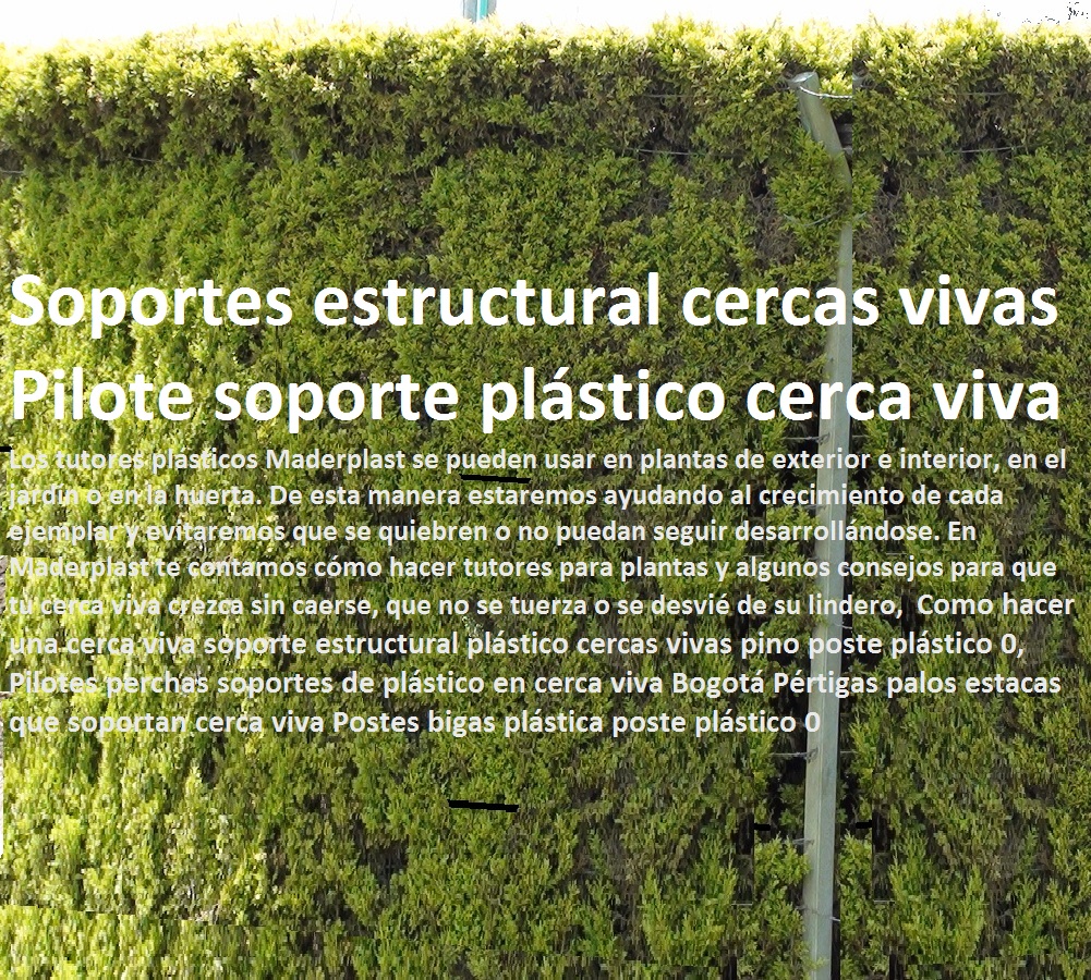 Cerramientos Exteriores Jardín  Fábrica 0 Proveedor 0 Contratista 0 Ingeniero 0 Diseñador 0 Decorador 0 Distribuidor de MATERAS MACETAS 0 PATIOS MURALES 0 PAREDES VERDES 0 PAREDES VIVAS 0 JARDINERAS 0 Paisajismo Urbano 0 Construcción Ecológica 0 Cercas Vivas 0 Pérgola Veranera 0 Estructuras Ecológicas 0 Jardineria Sustentable 0 Senderos Ecológicos 0 Jardín Botánico 0 Pérgolas Miradores 0 Fachadas Verdes 0 Terrazas Verdes 0 Terrazas Vivas 0 Jardines Verticales 0 Techos Verdes 0 Tejados Verdes 0 Fachadas Vegetales 0 soportes cercas vivas Valla Ecológicas Maderplast 0 con pinos Cercos Para Jardín De Plástico 0 Cercas Para Jardín Baratas 0 Separador Plástico Para Jardinería 0 Cerramientos Exteriores 0 Cerramientos Exteriores Jardín soportes cercas vivas Valla Ecológicas Maderplast 0 con pinos Cercos Para Jardín De Plástico 0 Cercas Para Jardín Baratas 0 Separador Plástico Para Jardinería 0 Cerramientos Exteriores 0