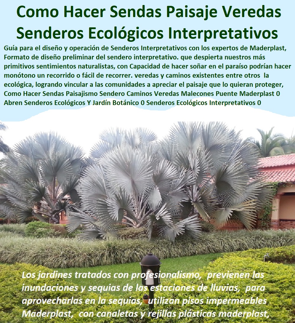 Como Hacer Sendas Paisajismo Sendero Caminos  Fábrica 0 Proveedor 0 Contratista 0 Ingeniero 0 Diseñador 0 Decorador 0 Distribuidor de TERRAZAS VERDES 0 TERRAZAS VIVAS 0 JARDINES VERTICALES 0 TECHOS VERDES 0 TEJADOS VERDES 0 FACHADAS VEGETALES 0 Materas Macetas 0 Patios Murales 0 Paredes Verdes 0 Paredes Vivas 0 Jardineras 0 Paisajismo Urbano 0 Construcción Ecológica 0 Cercas Vivas 0 Pérgola Veranera 0 Estructuras Ecológicas 0 Jardineria Sustentable 0 Senderos Ecológicos 0 Jardín Botánico 0 Pérgolas Miradores 0 Fachadas Verdes Veredas Malecones Puente Maderplast 0 Abren Senderos Ecológicos Y Jardín Botánico 0 Senderos Ecológicos Interpretativos 0 Senderismo de madera Maderplast 0 Como Hacer Sendas Paisajismo Sendero Caminos Veredas Malecones Puente Maderplast 0 Abren Senderos Ecológicos Y Jardín Botánico 0 Senderos Ecológicos Interpretativos 0 Senderismo de madera Maderplast 0