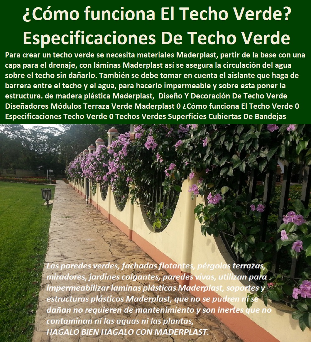  Fábrica 0 Proveedor 0 Contratista 0 Ingeniero 0 Diseñador 0 Decorador 0 Distribuidor de TERRAZAS VERDES 0 TERRAZAS VIVAS 0 JARDINES VERTICALES 0 TECHOS VERDES 0 TEJADOS VERDES 0 FACHADAS VEGETALES 0 Materas Macetas 0 Patios Murales 0 Paredes Verdes 0 Paredes Vivas 0 Jardineras 0 Paisajismo Urbano 0 Construcción Ecológica 0 Cercas Vivas 0 Pérgola Veranera 0 Estructuras Ecológicas 0 Jardineria Sustentable 0 Senderos Ecológicos 0 Jardín Botánico 0 Pérgolas Miradores 0 Fachadas Verdes Diseño Y Decoración De Techo Verde Diseñadores Módulos Terraza Verde Maderplast 0 ¿Cómo funciona El Techo Verde 0 Especificaciones Techo Verde 0 Techos Verdes Superficies Cubiertas De Bandejas Modulares Diseño Y Decoración De Techo Verde Diseñadores Módulos Terraza Verde Maderplast 0 ¿Cómo funciona El Techo Verde 0 Especificaciones Techo Verde 0 Techos Verdes Superficies Cubiertas De Bandejas Modulares