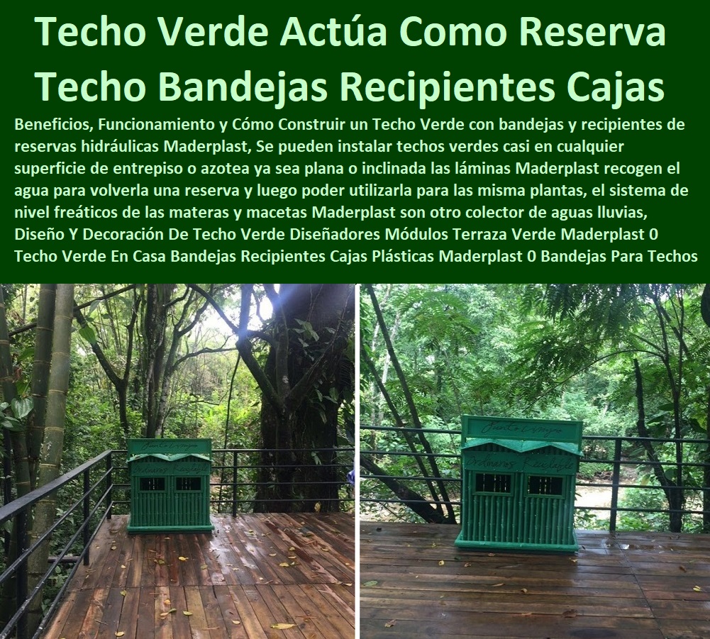 Diseño Y Decoración De Techo Verde Diseñadores Módulos Terraza Verde Maderplast 0 Techo Verde En Casa Bandejas Recipientes Cajas Plásticas Maderplast 0 Bandejas Para Techos Verdes Que Actúa Como Reserva Diseño Y Decoración De Techo Verde Diseñadores Módulos Terraza Verde Maderplast 0 Techo Verde En Casa Bandejas Recipientes Cajas Plásticas Maderplast 0  Fábrica 0 Proveedor 0 Contratista 0 Ingeniero 0 Diseñador 0 Decorador 0 Distribuidor de TERRAZAS VERDES 0 TERRAZAS VIVAS 0 JARDINES VERTICALES 0 TECHOS VERDES 0 TEJADOS VERDES 0 FACHADAS VEGETALES 0 Materas Macetas 0 Patios Murales 0 Paredes Verdes 0 Paredes Vivas 0 Jardineras 0 Paisajismo Urbano 0 Construcción Ecológica 0 Cercas Vivas 0 Pérgola Veranera 0 Estructuras Ecológicas 0 Jardineria Sustentable 0 Senderos Ecológicos 0 Jardín Botánico 0 Pérgolas Miradores 0 Fachadas Verdes Bandejas Para Techos Verdes Que Actúa Como Reserva