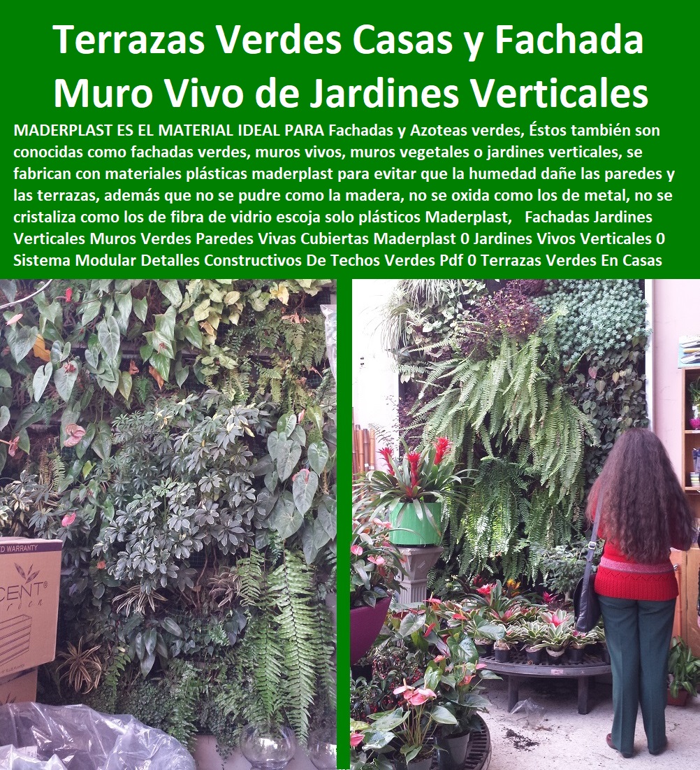 Fachadas Jardines Verticales Muros  Fábrica 0 Proveedor 0 Contratista 0 Ingeniero 0 Diseñador 0 Decorador 0 Distribuidor de TERRAZAS VERDES 0 TERRAZAS VIVAS 0 JARDINES VERTICALES 0 TECHOS VERDES 0 TEJADOS VERDES 0 FACHADAS VEGETALES 0 Materas Macetas 0 Patios Murales 0 Paredes Verdes 0 Paredes Vivas 0 Jardineras 0 Paisajismo Urbano 0 Construcción Ecológica 0 Cercas Vivas 0 Pérgola Veranera 0 Estructuras Ecológicas 0 Jardineria Sustentable 0 Senderos Ecológicos 0 Jardín Botánico 0 Pérgolas Miradores 0 Fachadas Verdes Verdes Paredes Vivas Cubiertas Maderplast 0 Jardines Vivos Verticales 0 Sistema Modular Detalles Constructivos De Techos Verdes Pdf 0 Sistema Modular Huertos Verticales 0 Fachadas Jardines Verticales Muros Verdes Paredes Vivas Cubiertas Maderplast 0 Jardines Vivos Verticales 0 Sistema Modular Detalles Constructivos De Techos Verdes Pdf 0 Sistema Modular Huertos Verticales 0