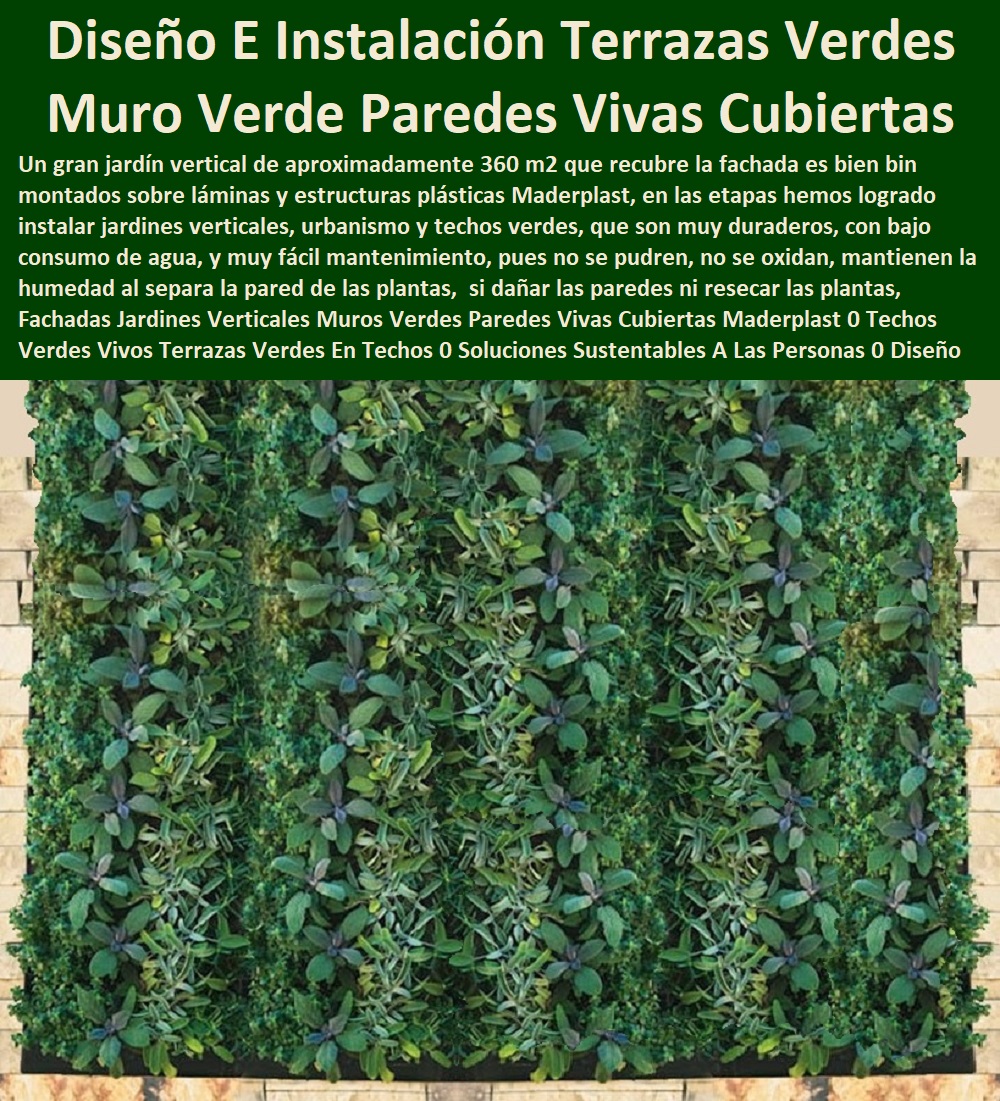 Fachadas Jardines Verticales Muros Verdes Paredes Vivas Cubiertas Maderplast 0 Fábrica 0 Proveedor 0 Contratista 0 Ingeniero 0 Diseñador 0 Decorador 0 Distribuidor de TERRAZAS VERDES 0 TERRAZAS VIVAS 0 JARDINES VERTICALES 0 TECHOS VERDES 0 TEJADOS VERDES 0 FACHADAS VEGETALES 0 Materas Macetas 0 Patios Murales 0 Paredes Verdes 0 Paredes Vivas 0 Jardineras 0 Paisajismo Urbano 0 Construcción Ecológica 0 Cercas Vivas 0 Pérgola Veranera 0 Estructuras Ecológicas 0 Jardineria Sustentable 0 Senderos Ecológicos 0 Jardín Botánico 0 Pérgolas Miradores 0 Fachadas Verdes  Techos Verdes Vivos Terrazas Verdes En Techos 0 Soluciones Sustentables A Las Personas 0 Diseño E Instalación De Terrazas Verdes 0 Fachadas Jardines Verticales Muros Verdes Paredes Vivas Cubiertas Maderplast 0 Techos Verdes Vivos Terrazas Verdes En Techos 0 Soluciones Sustentables A Las Personas 0 Diseño E Instalación De Terrazas Verdes 0