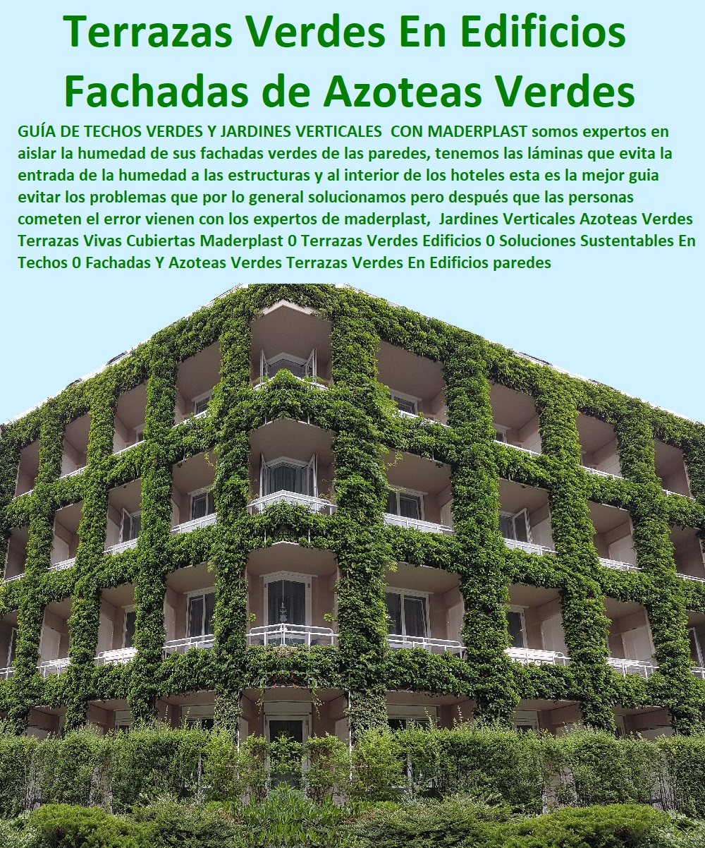 52 TERRAZAS VERDES 0 TERRAZAS VIVAS 0 JARDINES VERTICALES 0 TECHOS VERDES 0 TEJADOS VERDES 0 FACHADAS VEGETALES 0 FACHADAS FLOTANTES 0 Materas Macetas 0 Patios Murales 0 Paredes Verdes 0 Paredes Vivas 0 Jardineras 0 Paisajismo Urbano 0 Construcción Ecológica 0 Cercas Vivas 0 Pérgola Veranera 0 Estructuras Ecológicas 0 Jardinería Sustentable 0 Senderos Ecológicos 0 Jardín Botánico 0 Pérgolas Miradores 0 Jardines Verticales  Fábrica 0 Proveedor 0 Contratista 0 Ingeniero 0 Diseñador 0 Decorador 0 Distribuidor de TERRAZAS VERDES 0 TERRAZAS VIVAS 0 JARDINES VERTICALES 0 TECHOS VERDES 0 TEJADOS VERDES 0 FACHADAS VEGETALES 0 Materas Macetas 0 Patios Murales 0 Paredes Verdes 0 Paredes Vivas 0 Jardineras 0 Paisajismo Urbano 0 Construcción Ecológica 0 Cercas Vivas 0 Pérgola Veranera 0 Estructuras Ecológicas 0 Jardineria Sustentable 0 Senderos Ecológicos 0 Jardín Botánico 0 Pérgolas Miradores 0 Fachadas Verdes Azoteas Verdes Terrazas Vivas Cubiertas Maderplast 0 Terrazas Verdes Edificios 0 Soluciones Sustentables En Techos 0 Fachadas Y Azoteas Verdes 0 Terrazas Verdes En Casas 0  Jardines Verticales Azoteas Verdes Terrazas Vivas Cubiertas Maderplast 0 Terrazas Verdes Edificios 0 Soluciones Sustentables En Techos 0 Fachadas Y Azoteas Verdes 0 Terrazas Verdes En Casas 0 