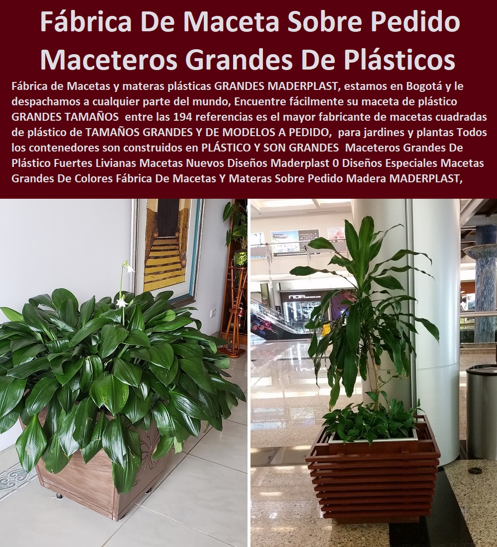 Maceteros Grandes De Plástico Fuertes Livianas Macetas Nuevos Diseños Maderplast 0 Diseños Especiales Macetas Grandes Para Envases De Plástico Polietileno De Colores 0 Macetas Pared Decorativas 0 Macetas Maceteros Grandes De Plástico Fuertes Livianas Macetas Nuevos Fábrica 0 Proveedor 0 Contratista 0 Ingeniero 0 Diseñador 0 Decorador 0 Distribuidor de TERRAZAS VERDES 0 TERRAZAS VIVAS 0 JARDINES VERTICALES 0 TECHOS VERDES 0 TEJADOS VERDES 0 FACHADAS VEGETALES 0 Materas Macetas 0 Patios Murales 0 Paredes Verdes 0 Paredes Vivas 0 Jardineras 0 Paisajismo Urbano 0 Construcción Ecológica 0 Cercas Vivas 0 Pérgola Veranera 0 Estructuras Ecológicas 0 Jardineria Sustentable 0 Senderos Ecológicos 0 Jardín Botánico 0 Pérgolas Miradores 0 Fachadas Verdes  Diseños Maderplast 0 Diseños Especiales Macetas Grandes Para Envases De Plástico Polietileno De Colores 0 Macetas Pared Decorativas 0 Macetas