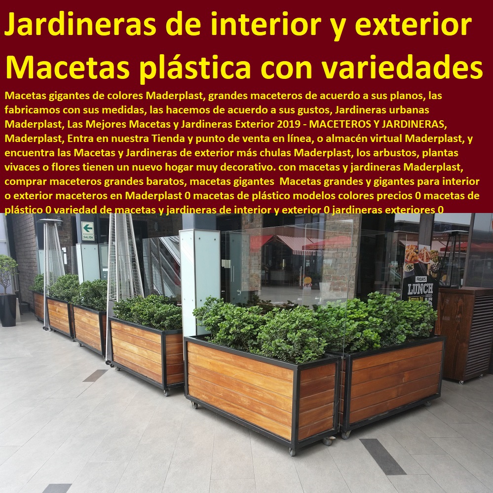 Maceteros Grandes De Plástico Fuertes Livianas Macetas Nuevos Diseños Maderplast 0 Jardineras Exteriores ¿Cómo Elegir Las Macetas De Plástico 0  Fábrica 0 Proveedor 0 Contratista 0 Ingeniero 0 Diseñador 0 Decorador 0 Distribuidor de TERRAZAS VERDES 0 TERRAZAS VIVAS 0 JARDINES VERTICALES 0 TECHOS VERDES 0 TEJADOS VERDES 0 FACHADAS VEGETALES 0 Materas Macetas 0 Patios Murales 0 Paredes Verdes 0 Paredes Vivas 0 Jardineras 0 Paisajismo Urbano 0 Construcción Ecológica 0 Cercas Vivas 0 Pérgola Veranera 0 Estructuras Ecológicas 0 Jardineria Sustentable 0 Senderos Ecológicos 0 Jardín Botánico 0 Pérgolas Miradores 0 Fachadas Verdes Macetas Para Patios Exteriores 0 Materas Plástico Elegantes Macetas Maceteros Grandes De Plástico Fuertes Livianas Macetas Nuevos Diseños Maderplast 0 Jardineras Exteriores ¿Cómo Elegir Las Macetas De Plástico 0 Macetas Para Patios Exteriores 0 Materas Plástico Elegantes Macetas 