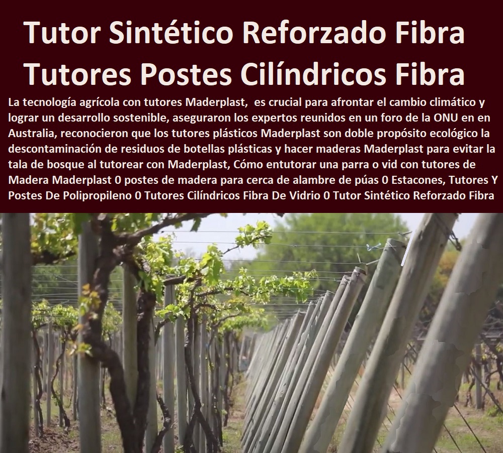 Cómo entutorar una parra o vid con tutores de Madera Maderplast 0 postes de madera para cerca de alambre de púas 0  TUTORES DE PLÁSTICO PARA SUJETAR PLANTAS 0 Tutor De Plástico Para Cultivar Eficientemente 0 Tutor De Plástico Para Cultivar Técnicamente 0 Tutores Para Plantas Y Hortalizas 0 Estacones Tutores Postes De Bambú Guadua 0 Tutor Plásticos Para Cultivar El Huerto 0 Vara Tutor De Madera Plástica Para Cultivar Flores 0 Entutorado Tutor Sintético Para Cultivar Pitayas 0 Tutores Fibra De Vidrio Plástico Para Cultivar Uvas 0 Tutor De Emparrado Plástico Para Cultivar Maracuyá 0 Tutor Con Espaldera Para Cultivar Arveja 0 Tutor Para Cultivar Frijol 0 Tutor Para Cultivar Tomates 0 Estacones, Tutores Y Postes De Polipropileno 0 Tutores Cilíndricos Fibra De Vidrio 0 Tutor Sintético Reforzado Fibra De Vidrio Cómo entutorar una parra o vid con tutores de Madera Maderplast 0 postes de madera para cerca de alambre de púas 0 Estacones, Tutores Y Postes De Polipropileno 0 Tutores Cilíndricos Fibra De Vidrio 0 Tutor Sintético Reforzado Fibra De Vidrio