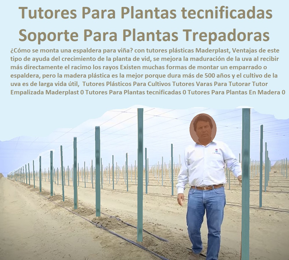 Diseño del tutorage de maracuyá Guía del tutoreo o tutorado Maderplast 2 0 tutores para tomates 0 Tutores Para Plantas 0 espalderas para tomates 0 palos de madera Homecenter 0 Tutores de fibra de vidrio para entutorar 0 Fábrica de tutores 00 Diseño del Tutorages de maracuyá Guía del tutoreo o tutorado Maderplast 2 0 tutores para tomates 0  TUTOR PLÁSTICOS PARA CULTIVAR EL HUERTO 0 VARA TUTOR DE MADERA PLÁSTICA PARA CULTIVAR FLORES 0 Entutorado Tutor Sintético Para Cultivar Pitayas 0 Tutores Fibra De Vidrio Plástico Para Cultivar Uvas 0 Tutor De Emparrado Plástico Para Cultivar Maracuyá 0 Tutor Con Espaldera Para Cultivar Arveja 0 Tutor Para Cultivar Frijol 0 Tutor Para Cultivar Tomates 0 Tutores De Plástico Para Sujetar Plantas 0 Tutor De Plástico Para Cultivar Eficientemente 0 Tutor De Plástico Para Cultivar Técnicamente 0 Tutores Para Plantas Y Hortalizas 0 Estacones Tutores Postes De Bambú Guadua 0 Tutores Para Plantas 0 espalderas para tomates 0 palos de madera homecenter 0 Tutores de fibra de vidrio para entutorar 0 Fábrica de tutores 00