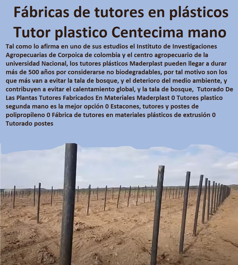 Tutorado De Las Plantas Tutores Fabricados En Materiales Maderplast 0 Tutores plástico segunda mano es la mejor opción 0 Estacones, tutores y postes de polipropileno 0 Fábrica de tutores en materiales plásticos de extrusión 0  TUTOR PLÁSTICOS PARA CULTIVAR EL HUERTO 0 VARA TUTOR DE MADERA PLÁSTICA PARA CULTIVAR FLORES 0 Entutorado Tutor Sintético Para Cultivar Pitayas 0 Tutores Fibra De Vidrio Plástico Para Cultivar Uvas 0 Tutor De Emparrado Plástico Para Cultivar Maracuyá 0 Tutor Con Espaldera Para Cultivar Arveja 0 Tutor Para Cultivar Frijol 0 Tutor Para Cultivar Tomates 0 Tutores De Plástico Para Sujetar Plantas 0 Tutor De Plástico Para Cultivar Eficientemente 0 Tutor De Plástico Para Cultivar Técnicamente 0 Tutores Para Plantas Y Hortalizas 0 Estacones Tutores Postes De Bambú Guadua 0 Tutorado postes Tutorado De Las Plantas Tutores Fabricados En Materiales Maderplast 0 Tutores plastico segunda mano es la mejor opción 0 Estacones, tutores y postes de polipropileno 0 Fábrica de tutores en materiales plásticos de extrusión 0 Tutorado postes