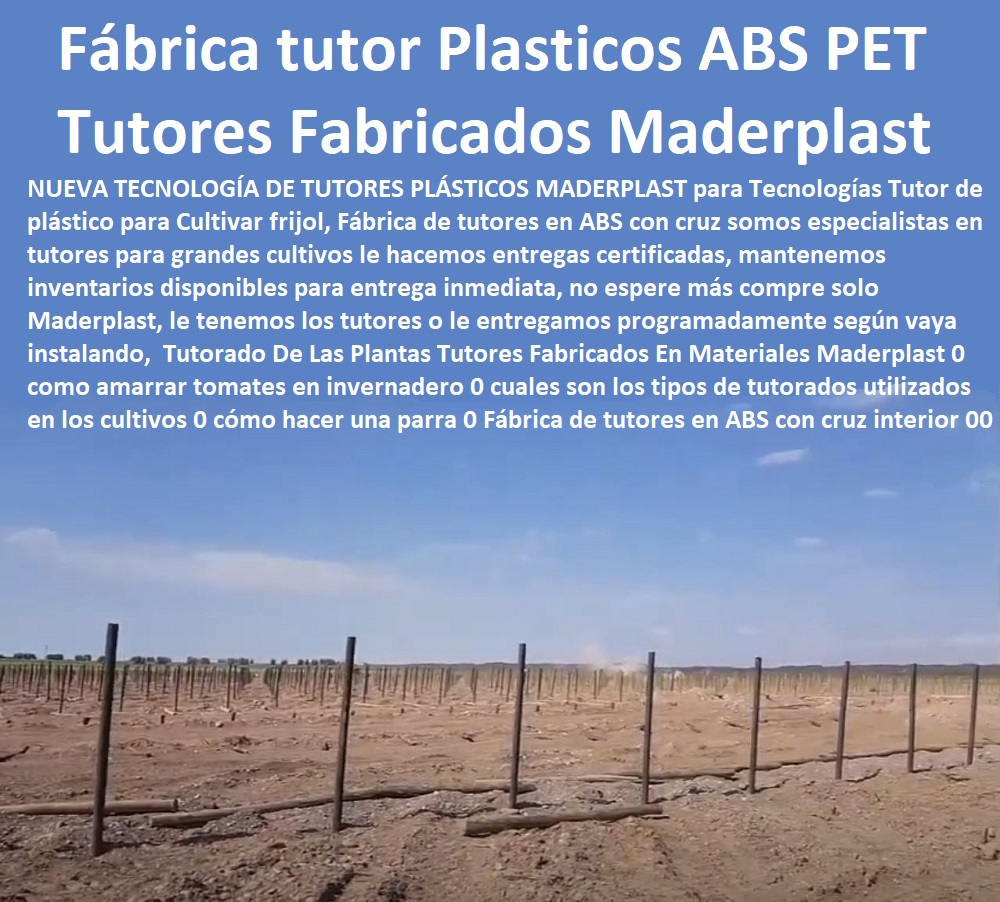 Tutorado De Las Plantas Tutores Fabricados En Materiales Maderplast 0 como amarrar tomates en invernadero 0 cuales son los tipos de tutorados utilizados en los cultivos 0 cómo hacer una parra 0  TUTOR PLÁSTICOS PARA CULTIVAR EL HUERTO 0 VARA TUTOR DE MADERA PLÁSTICA PARA CULTIVAR FLORES 0 Entutorado Tutor Sintético Para Cultivar Pitayas 0 Tutores Fibra De Vidrio Plástico Para Cultivar Uvas 0 Tutor De Emparrado Plástico Para Cultivar Maracuyá 0 Tutor Con Espaldera Para Cultivar Arveja 0 Tutor Para Cultivar Frijol 0 Tutor Para Cultivar Tomates 0 Tutores De Plástico Para Sujetar Plantas 0 Tutor De Plástico Para Cultivar Eficientemente 0 Tutor De Plástico Para Cultivar Técnicamente 0 Tutores Para Plantas Y Hortalizas 0 Estacones Tutores Postes De Bambú Guadua 0 Fábrica de tutores en ABS con cruz interior 00 Tutorado De Las Plantas Tutores Fabricados En Materiales Maderplast 0 como amarrar tomates en invernadero 0 cuales son los tipos de tutorados utilizados en los cultivos 0 cómo hacer una parra 0 Fábrica de tutores en ABS con cruz interior 00