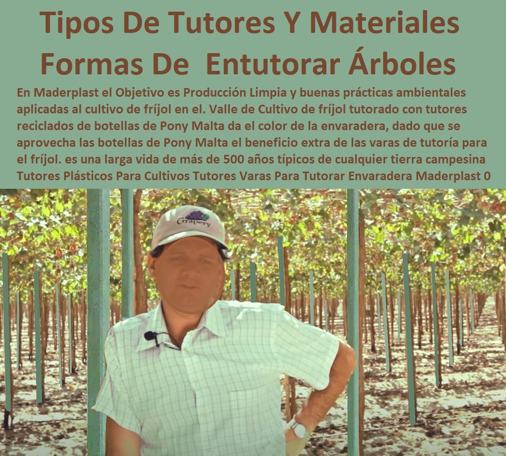 Tutores Plásticos Para Cultivos De Maracuyá  TUTOR PLÁSTICOS PARA CULTIVAR EL HUERTO 0 VARA TUTOR DE MADERA PLÁSTICA PARA CULTIVAR FLORES 0 Entutorado Tutor Sintético Para Cultivar Pitayas 0 Tutores Fibra De Vidrio Plástico Para Cultivar Uvas 0 Tutor De Emparrado Plástico Para Cultivar Maracuyá 0 Tutor Con Espaldera Para Cultivar Arveja 0 Tutor Para Cultivar Frijol 0 Tutor Para Cultivar Tomates 0 Tutores De Plástico Para Sujetar Plantas 0 Tutor De Plástico Para Cultivar Eficientemente 0 Tutor De Plástico Para Cultivar Técnicamente 0 Tutores Para Plantas Y Hortalizas 0 Estacones Tutores Postes De Bambú Guadua 0 Maderplast 0 tipos de tutorado en tomate 0 tutorados 0 Tutores De Plástico Para Guiar El Crecimiento De Tus Plantas Cultivo De Flores En Invernadero Postes Plásticos Maderplast 0 Estacones, Tutores Tutores Plásticos Para Cultivos De Maracuyá Maderplast 0 tipos de tutorado en tomate 0 tutorados 0 Tutores De Plástico Para Guiar El Crecimiento De Tus Plantas Cultivo De Flores En Invernadero Postes Plásticos Maderplast 0 Estacones, Tutores