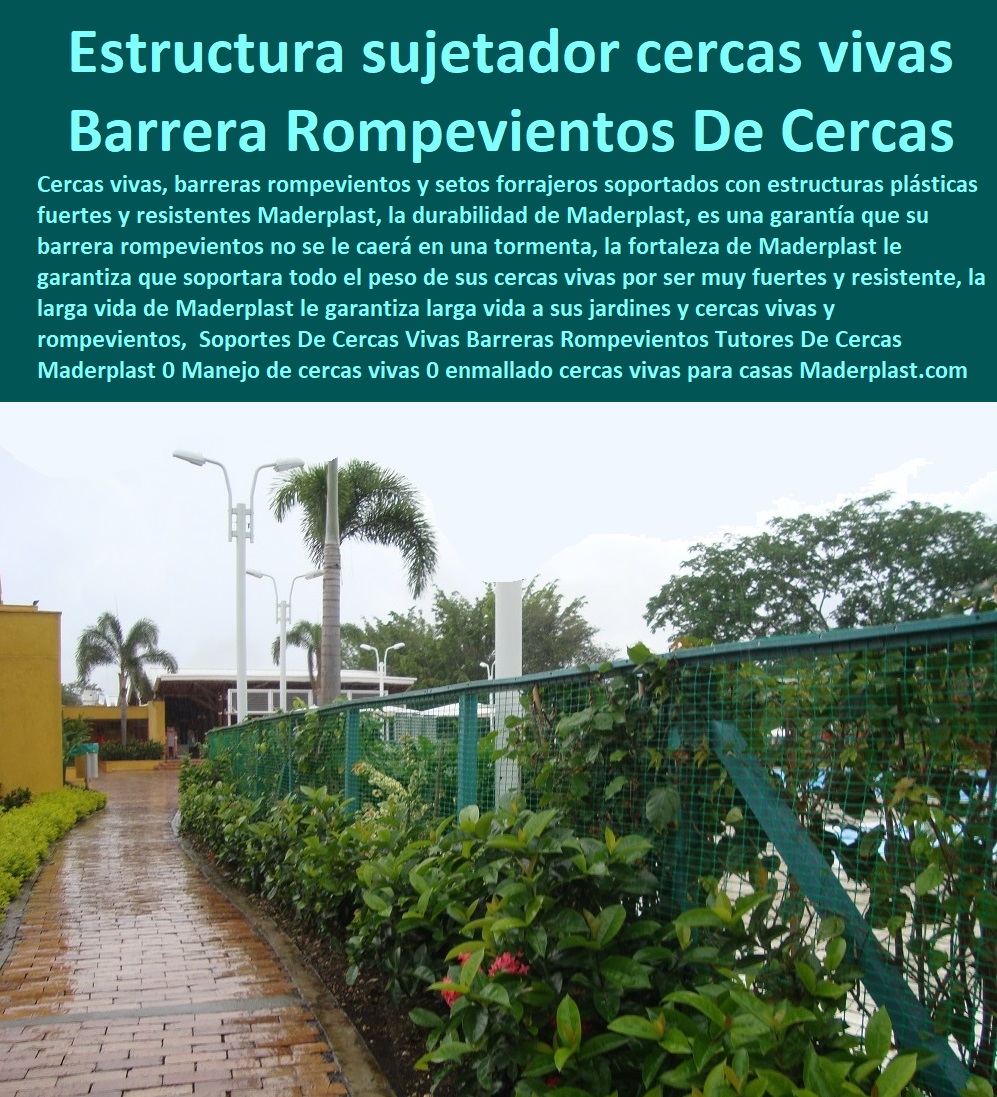 Soportes De Cercas Vivas Barreras Rompe vientos Tutores De Cercas Maderplast 0 Manejo de cercas vivas 0 enmallado cercas vivas para casas 0 sostenedor de cercas vivas pdf 0 como hacer una cerca viva estructura sujetador cercas vivas postes 0   Fábrica De  Cercas 0 Proveedor De Cercados Perimetrales 0 Fabricante De Vallas 0 Contratista De Cerramiento Exterior 0 Carpintería De Cerramientos De Seguridad 0 Suministro De Cerramientos Para Piscinas 0 Instalación De Tipos De Barreras Perimetrales 0 Importador De Rejas De Madera Para Jardín 0 Valor Precio De Cercas Plásticas Para Jardín 0 Diseño Chambranas Para Balcones 0 Modelos Barandas 0 Catálogo Pasamanos Soportes De Cercas Vivas Barreras Rompe vientos Tutores De Cercas Maderplast 0 Manejo de cercas vivas 0 enmallado cercas vivas para casas 0 sostenedor de cercas vivas pdf 0 como hacer una cerca viva estructura sujetador cercas vivas postes 0 