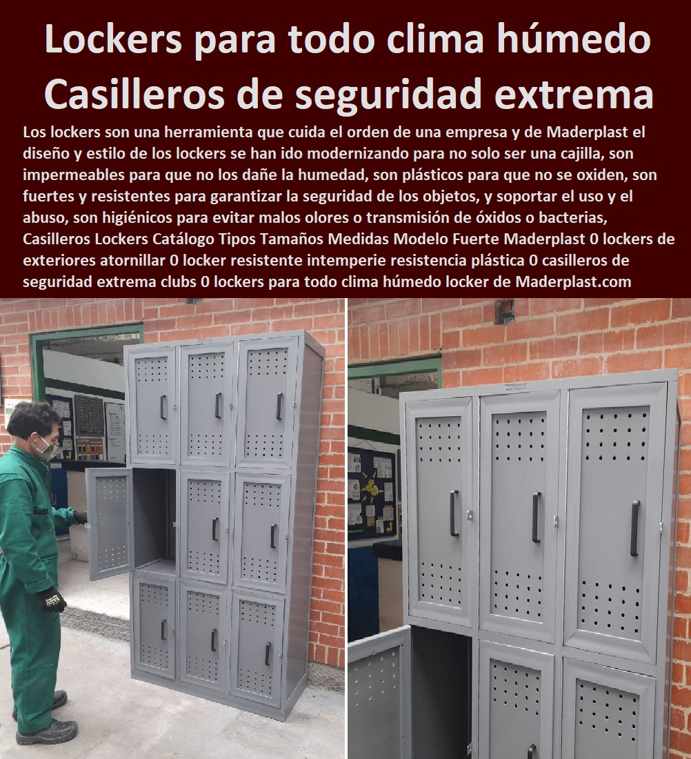 Casilleros Lockers Catálogo Tipos Tamaños Medidas Modelo Fuerte Maderplast 0 lockers de exteriores atornillar 0 locker resistente intemperie resistencia plástica 0 casilleros de seguridad extrema clubs 0 lockers para todo clima húmedo locker 0 Casilleros Lockers Catálogo Tipos Tamaños Medidas Modelo Fuerte Maderplast 0 lockers de exteriores atornillar 0 locker resistente intemperie resistencia plástica 0 casilleros de seguridad extrema clubs 0 lockers para todo clima húmedo locker Diseños Y Fabricación Comprar A Proveedor, Suministro E Instalación Lockers 0 Casilleros 0 Guardarropa 0 Casillero Para Ropa 0 Locker Para Cascos 0 Locker Estéril 0 Locker Higiénico Lavable A séptico 0 Locker Con Puerta De Vidrio 0 Locker Acrílico 0 