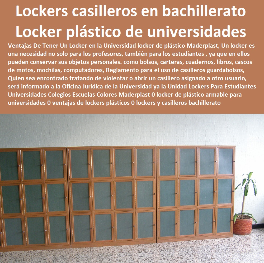 Lockers Para Estudiantes  Diseños Y Fabricación Comprar A Proveedor, Suministro E Instalación Lockers Puertas Transparentes 0 Lockers Con Puertas Maya 0 Fabrica De Lockers Plásticos 0 Lockers Plásticos 0 Casilleros Plásticos 0 Lockers Monederos 0 Lockers Metálicos 0 Lockers 0 Casilleros 0 Guardarropa 0 Casillero Para Ropa 0 Locker Para Casacos 0 Locker Estéril 0 Locker Higiénico Lavable Aséptico 0 Locker Con Puerta De Vidrio 0 Locker Acrílico Universidades Colegios Escuelas Colores Maderplast 0 locker de plástico armable para universidades 0 ventajas de lockers plásticos 0 lockers y casilleros bachillerato 0 diseño lockers les cabe hasta un premio lápiz 0 Lockers Para Estudiantes Universidades Colegios Escuelas Colores Maderplast 0 locker de plástico armable para universidades 0 ventajas de lockers plásticos 0 lockers y casilleros bachillerato 0 diseño lockers les cabe hasta un premio lápiz 0