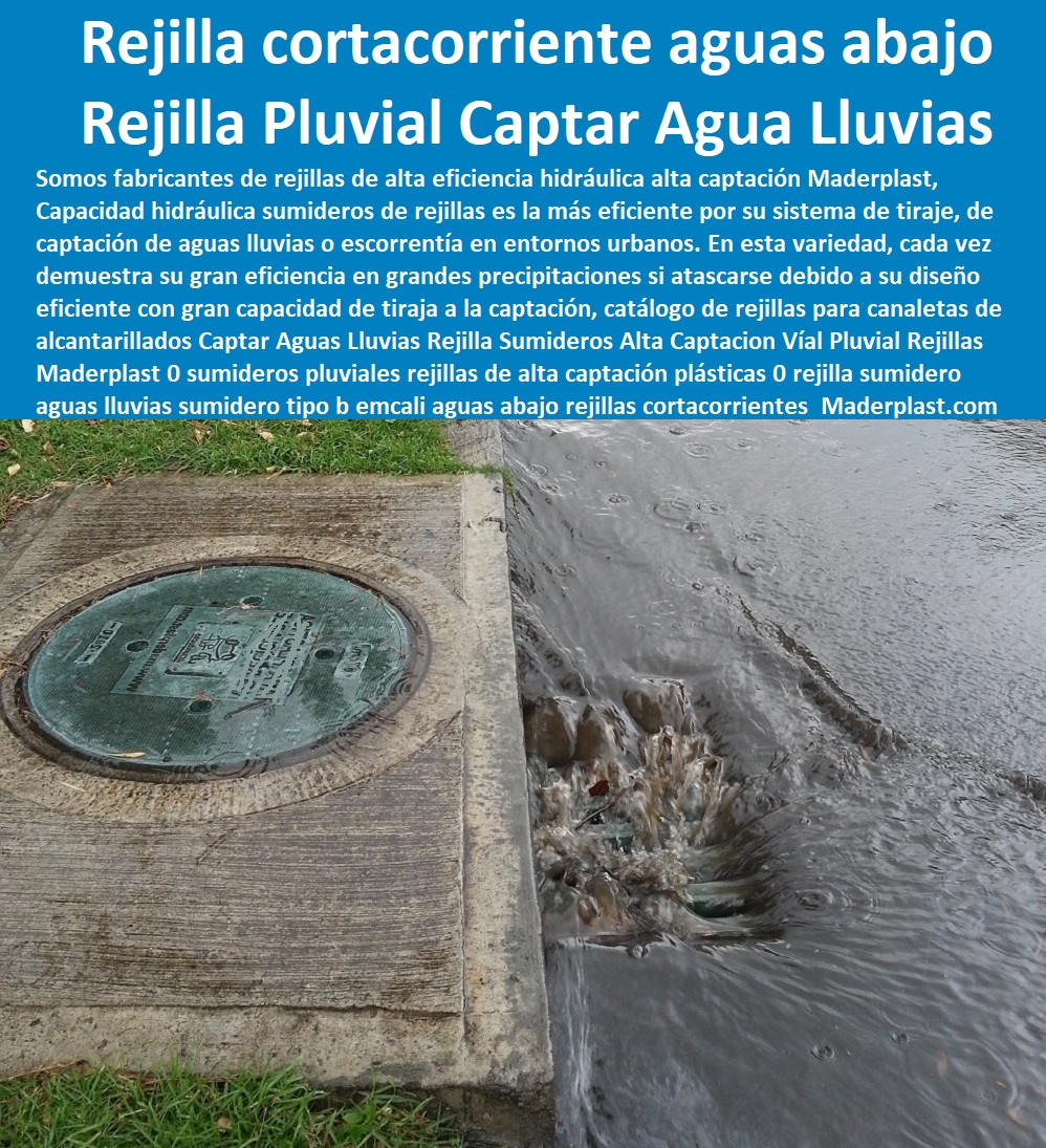 Captar Aguas Lluvias Rejilla Sumideros  FÁBRICA DE REJILLAS MADERPLAST ESTOY COMPRANDO COTIZAR Proveedor Suministro E Instalación Rejillas Sumideros 0 Sumidero Transversal 0 Sumideros En Alcantarillados De Aguas Lluvias 0 Sumideros En Alcantarillados 0 Sumideros De Aguas Lluvias 0 Sumideros Y Rejillas Canales 0 Rejillas De Acero Inoxidable Para Sumideros 0 Rejillas Y Tapas Para Sumideros 0 Rejillas En Concreto Normalizadas 0 Rejilla Sumidero Aguas Lluvias Alta Captación Vial Pluvial Rejillas Maderplast 0 sumideros pluviales rejillas de alta captación plásticas 0 rejilla sumidero aguas lluvias sumidero tipo b Emcali aguas abajo rejillas cortacorrientes 0 Captar Aguas Lluvias Rejilla Sumideros Alta Captación Vial Pluvial Rejillas Maderplast 0 sumideros pluviales rejillas de alta captación plásticas 0 rejilla sumidero aguas lluvias sumidero tipo b Emcali aguas abajo rejillas cortacorrientes 0 