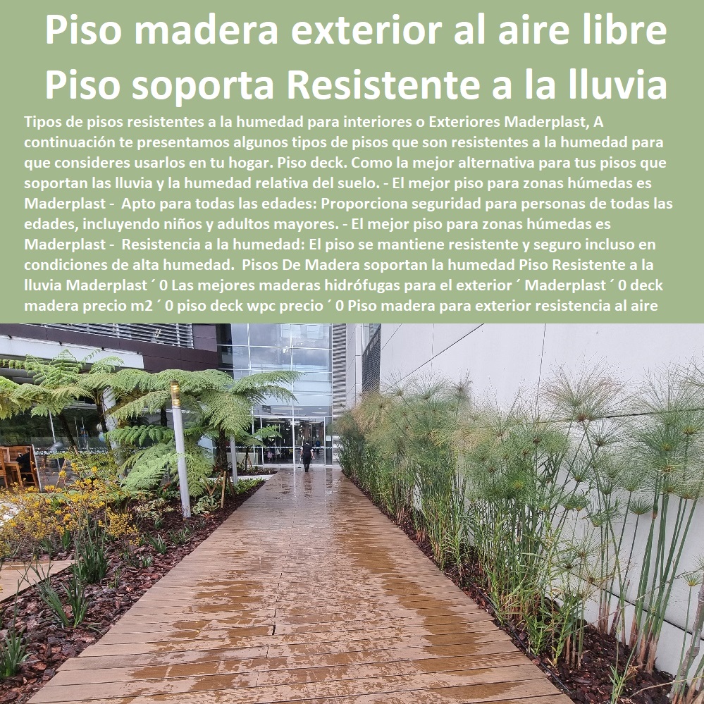 Pisos De Madera soportan la humedad Piso Resistente a la lluvia Maderplast 0 Las mejores maderas hidrófugas para el exterior Maderplast 0 deck madera precio m2 0 0 PISOS MADERA PLÁSTICA MADERPLAST 0 FÁBRICA PROVEEDOR SUMINISTRO E INSTALACION PISO DECK LISTÓN MADERA 0 PISO DE MADERA PLÁSTICA 0 pisos anti caídas de plástico Maderplast 0 Aislamiento térmico: Proporciona un aislamiento térmico adicional en las cubiertas marinas. ´ - 0 La mejor calidad de maderas finas madera Maderplast 0 Resistencia al fuego: Son ignífugos, lo que los hace seguros en caso de incendio. ´ - 0 pisos anti humedad de plástico Maderplast 0 Resistencia a la corrosión: No se oxidará ni se corroerá con el paso del tiempo. ´ - 0 La mejor calidad de pisos es Maderplast 0 Fácil instalación: La tarima se instala de manera sencilla, ahorrando tiempo y esfuerzo. ´ - 0 Pisos Radiantes Suelos Cubiertos Con Maderplast 0  Pisos de diseño ́ - 0 pisos anti resbaladizas de plástico Maderplast 0  Baja conductividad térmica: No se calientan demasiado bajo el sol, lo que los hace cómodos para caminar descalzo. ´ -piso deck wpc precio 0 Piso madera para exterior resistencia al aire libre 1 2 3 6 5 4 7 8 9 