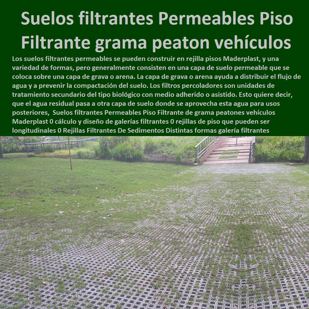 Suelos filtrantes Permeables Piso Filtrante  PISOS INDUSTRIALES MADERPLAST 0 Rejillas Industriales Maderplast 0 Piso Poliuretano Precio´ plástico 0 Piso Epoxico Precio Colombia 0 Poliuretano Para Pisos De Cemento´ plástico 0 Norma Para Pisos Industriales´ plástico 0 Pisos Industriales Para plantas de tratamiento 0 Pisos Industriales De Concreto Pdf 0 Diseño De Pisos Industriales´ plástico 0 Pisos Industriales Epoxy 0 Pisos Industriales Bogotá 0 Piso Epóxico Homecenter´ Maderplast 0 Piso Epóxico Colombia 0 Piso Epóxico Ficha Técnica 0 Memoria De Cálculo Piso Industrial 0 Pisos Para Bodegas Industriales 0 Piso Epoxico Precio M2 0 Poliuretano Para Pisos Comex´ plástico 0 Manual De Diseño De Pisos Industriales Pdf 0 Tipos De Pisos Industriales de grama peatones vehículos Maderplast 0 cálculo y diseño de galerías filtrantes 0 rejillas de piso que pueden ser longitudinales 0 Rejillas Filtrantes De Sedimentos Distintas formas galería filtrantes Suelos filtrantes Permeables Piso Filtrante de grama peatones vehículos  Maderplast 0 cálculo y diseño de galerías filtrantes 0 rejillas de piso que pueden ser longitudinales 0 Rejillas Filtrantes De Sedimentos Distintas formas galería filtrantes