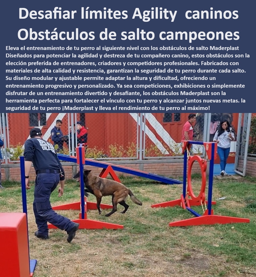 33 CASAS PARA PERROS Y MASCOTAS AGILITY DE PERROS PISTAS DE ...