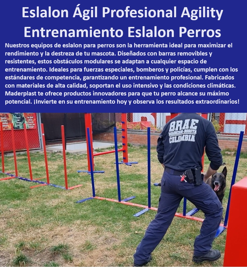 33 CASAS PARA PERROS Y MASCOTAS AGILITY DE PERROS PISTAS DE ...