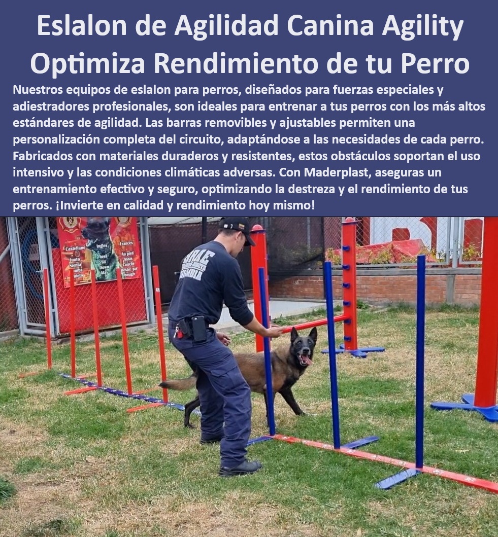 33 CASAS PARA PERROS Y MASCOTAS AGILITY DE PERROS PISTAS DE ...