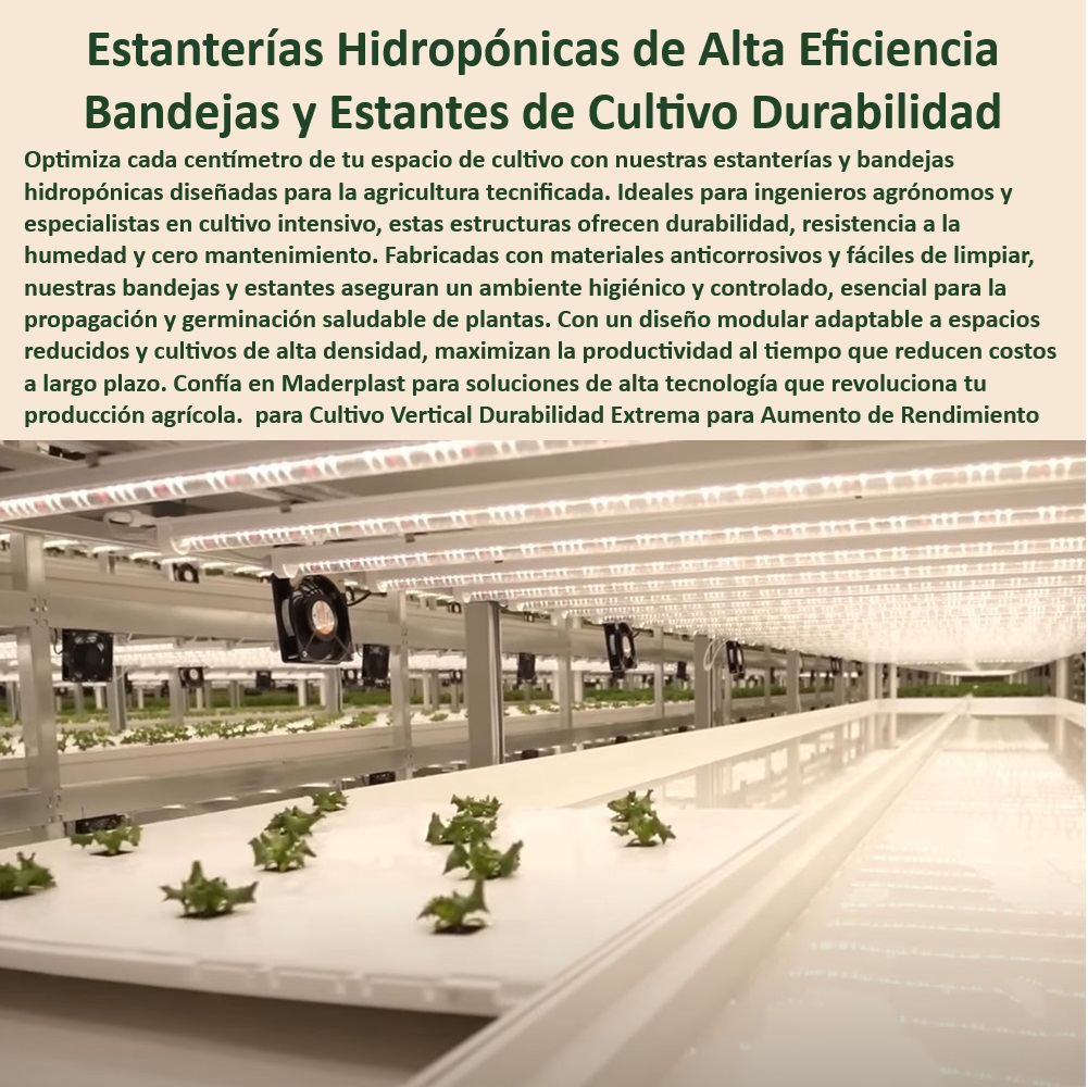 CULTIVOS TECNIFICADOS 0 INVERNADEROS 0 SEMILLEROS 0 BANCOS DE SIEMBRA 0  HIDROPONÍA 0 AGRICULTURA 0 Cosecha Poscosecha 0 Tutores Tutorial De  Cosechas 0, image size:1001x1000