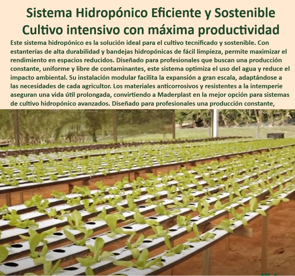 CULTIVOS TECNIFICADOS 0 INVERNADEROS 0 SEMILLEROS 0 BANCOS DE SIEMBRA 0  HIDROPONÍA 0 AGRICULTURA 0 Cosecha Poscosecha 0 Tutores Tutorial De  Cosechas 0, image size:999x935