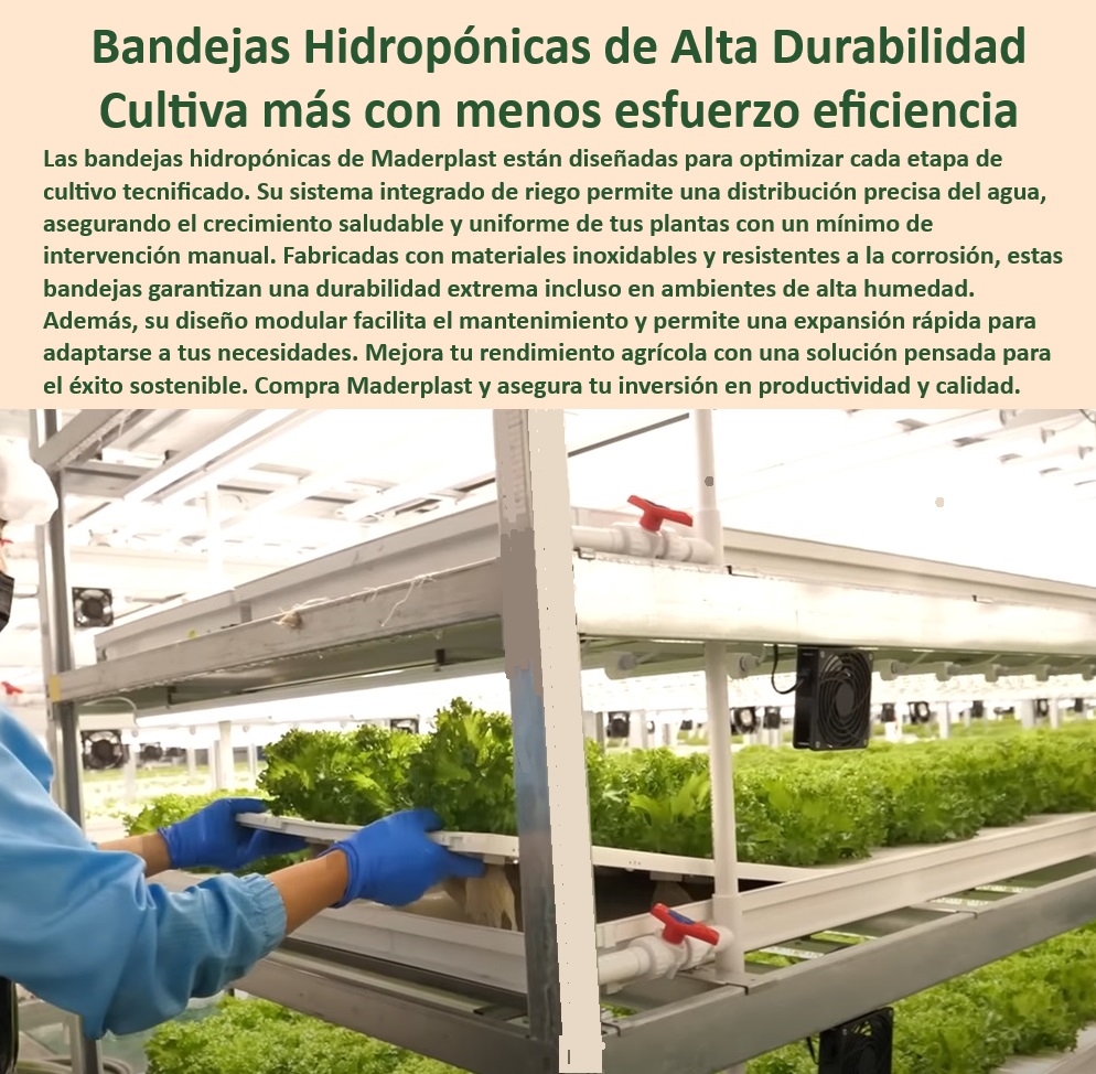 CULTIVOS TECNIFICADOS 0 INVERNADEROS 0 SEMILLEROS 0 BANCOS DE SIEMBRA 0  HIDROPONÍA 0 AGRICULTURA 0 Cosecha Poscosecha 0 Tutores Tutorial De  Cosechas 0, image size:994x974