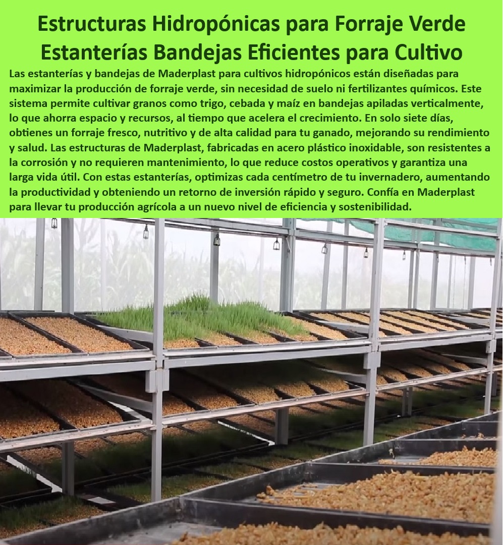 CULTIVOS TECNIFICADOS 0 INVERNADEROS 0 SEMILLEROS 0 BANCOS DE SIEMBRA 0  HIDROPONÍA 0 AGRICULTURA 0 Cosecha Poscosecha 0 Tutores Tutorial De  Cosechas 0, image size:997x1080