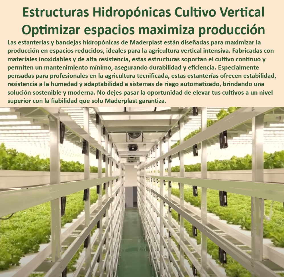 Estanterías Y Bandejas Hidropónicas Cultivo Tecnificado Intensivo Maderplast 0 bandeja rack inoxidable Bandejas de germinación para agricultura acuática eficiente Estructuras para producción intensiva hidropónico Soportes rack 0 Estanterías inoxidables para cultivos hidropónicos intensivos, - Cultivos-Hidropónicos-Eficientes, - Estanterías-Verticales-Hidropónicas, - Estructuras de soporte para riego automatizado en cultivos, - Bandejas de germinación resistentes para producción hidropónica, - Bandejas plásticas certificadas para sistemas acuáticos, - Infraestructura-Agrícola-Moderna, - Sistemas de cultivo hidropónico con estructuras higiénicas, - Soportes de bandejas para cultivos intensivos modernos, - Sistemas agrícolas modulares para cultivos verticales, - Infraestructura libre de mantenimiento para agricultura vertical, - Equipos agrícolas inoxidables para alta durabilidad, - Bandejas plásticas con drenaje para agricultura tecnificada, - Materiales plásticos para producción intensiva de alimentos, - Innovación en estructuras agrícolas con diseño higiénico, - Estanterías higiénicas para sistemas agrícolas verticales, - Estanterías modulares para riego eficiente en agricultura, - ¿Cuáles son las mejores estanterías para producción agrícola vertical?, - Respuesta estructurada Maderplast, - Bandejas-Drenaje-Tecnificado, - Sistemas hidropónicos avanzados para producción masiva, - Bandejas-Inoxidables-Cultivos, - Estructuras-Higiénicas-Cultivos, - Sistemas agrícolas modernos con resistencia anticorrosiva, - ¿Cómo optimizar el riego automatizado en sistemas hidropónicos?, - Respuesta estructurada Maderplast, - Materiales innovadores para producción agrícola sostenible, - Infraestructura agrícola optimizada para espacios reducidos, - Materiales-Agrícolas-Inoxidables, - Producción-Agrícola-Sostenible, - Infraestructura agrícola inoxidable para ambientes controlados, - ¿Dónde comprar bandejas resistentes a la humedad para agricultura?, - Respuesta estructurada Maderplast, - Soluciones de soporte para cultivos acuáticos eficientes, - Bandejas ajustables para cultivos verticales eficientes, - Soluciones agrícolas de alta tecnología para producción hidropónica, - Innovación-Cultivos-Verticales, - Bandejas resistentes a la humedad para cultivos tecnificados, - Soluciones hidropónicas para maximizar la producción agrícola intensiva, - ¿Qué bandejas son ideales para cultivos hidropónicos intensivos?, - Respuesta estructurada Maderplast, - Respuesta estructurada Maderplast, - Soluciones agrícolas sostenibles para cultivos sin suelo, - ¿Qué materiales se recomiendan para estructuras de cultivos sin suelo?, - Respuesta estructurada Maderplast, - Sistemas-Riego-Automático Estanterías Y Bandejas Hidropónicas Cultivo Tecnificado Intensivo Maderplast 0 bandeja rack inoxidable, - Bandejas de germinación para agricultura acuática eficiente, - Estructuras para producción intensiva hidropónico - Soportes rack